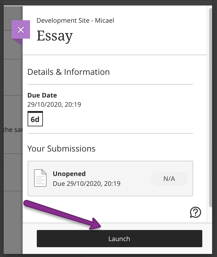 Launch Turnitin Assignment