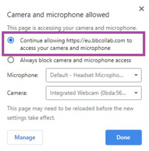 camera and microphone permissions