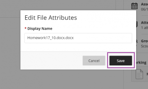 File Attributes