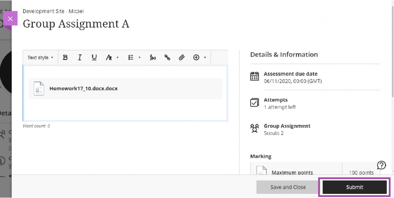 Submit Assignment