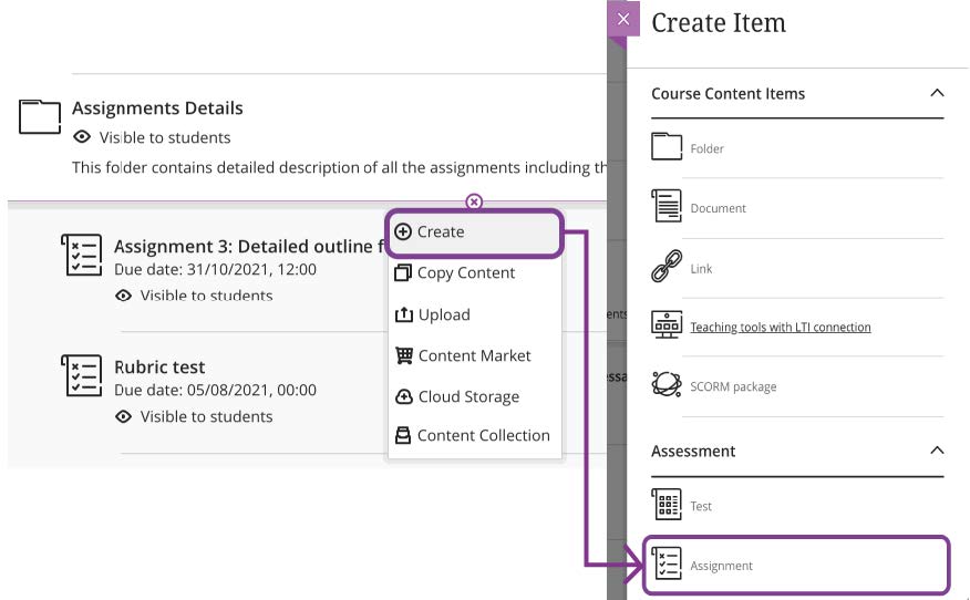 Figure 1. Create Assignment