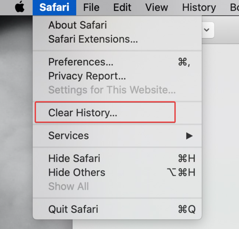safari clear history