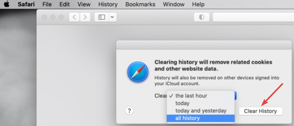 safari clear history