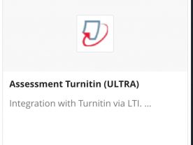 Assessment Turnitin