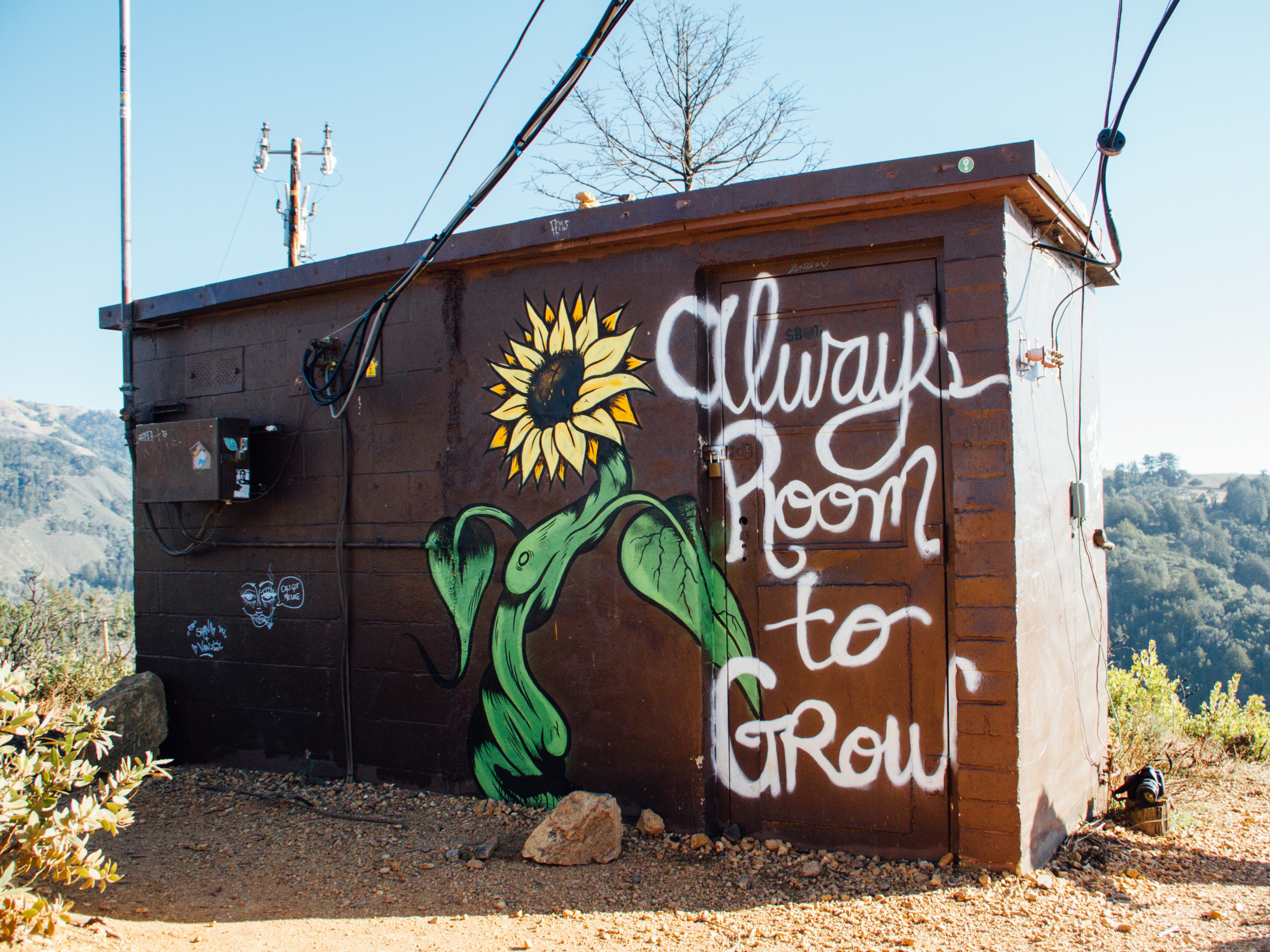 Photo of a wooden shed with a large sunflower painted on wall, with the words 'Always room to grow'