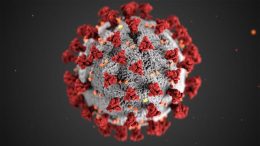 A graphic picture of a microbe from Covid-19, a grey sphere with red dots covering it.