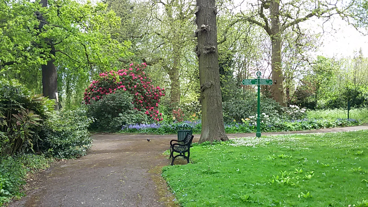 Free fun things to do in London: Parks. Tarn Bird Sanctuary
