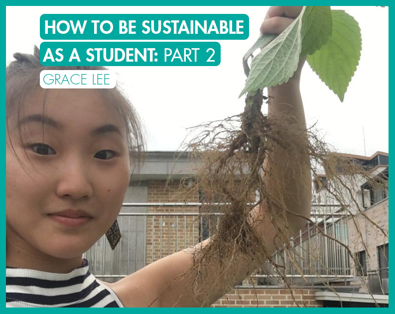 International Student Blog | How To Be Sustainable As A Student: Part 2 ...