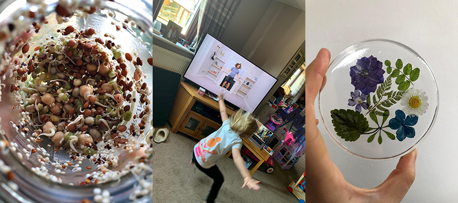 5 tips to keep mind and body healthy during quarantine_International Student Blogger, Grace Lee_sprouts, Joe Wicks and flower glass
