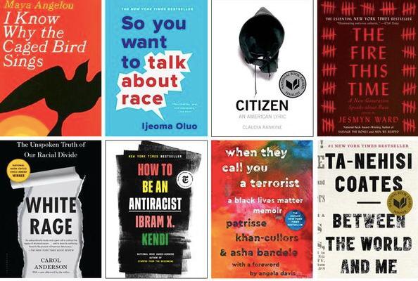 Black Lives Matter - Three Ways to Support_International Student Blogger, Salome Mamasakhlisi_selection of books covering racism