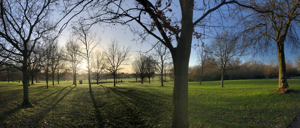 Sunset at the Regent’s Park