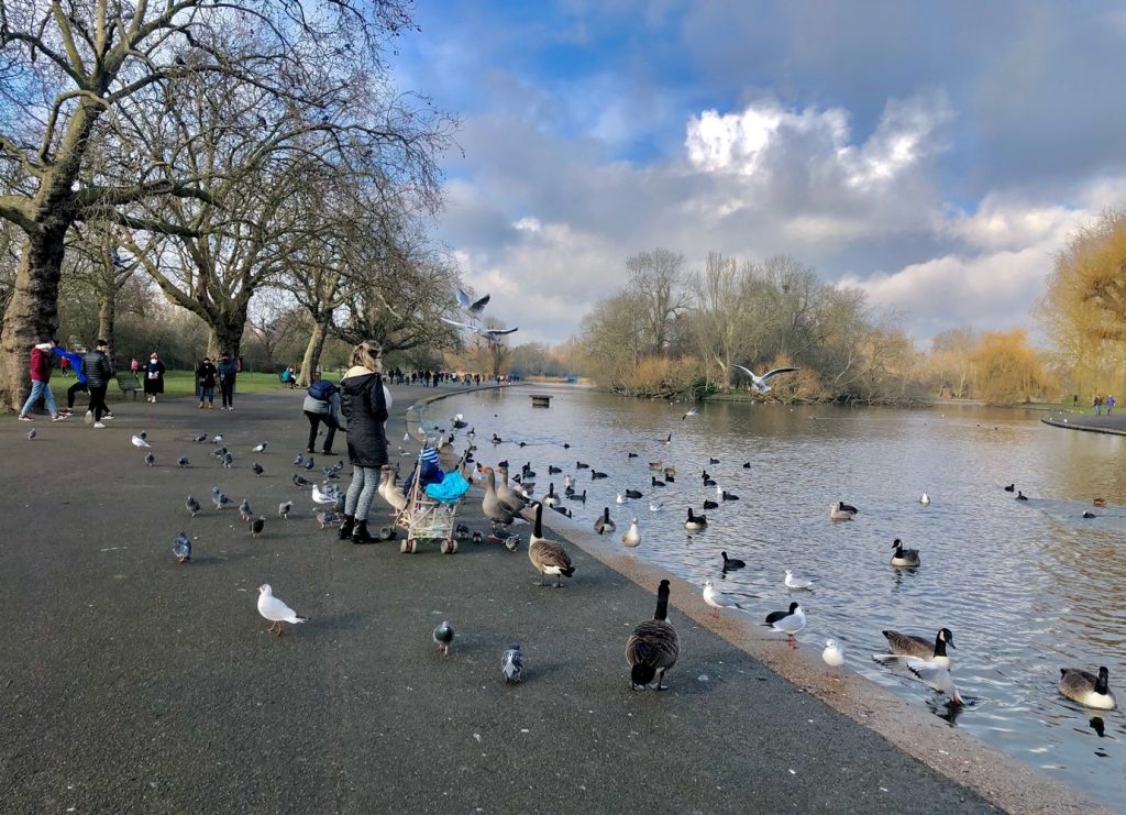 Regents park