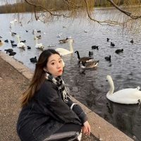 Lisa Mo-Regents Park pond with swans and ducks