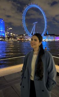 Sara Allami-21437612-London Eye, River Thames, at night-profile