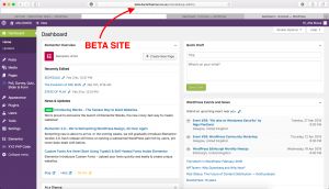 Beta Site Example