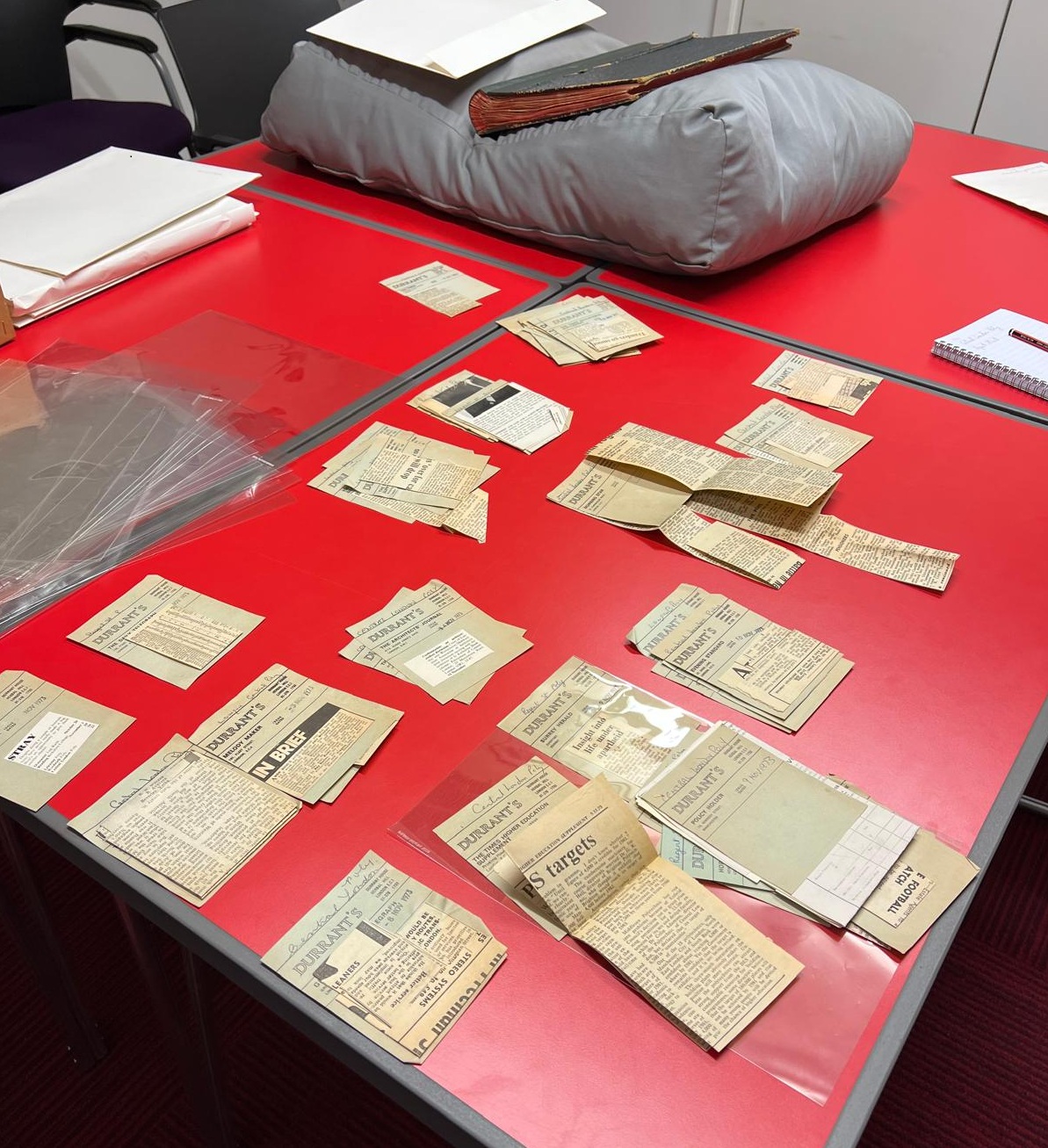 internship cuttings (4)