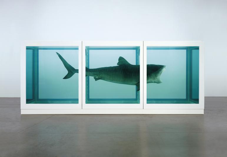 Damien Hirst's The Physical Impossibility of Death in the Mind of Someone Living by Damien Hirst