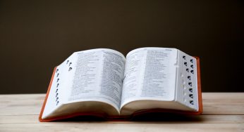 Was word of the year wasted?