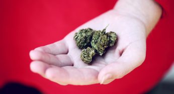 Should the UK allow anxiety patients access to medical cannabis treatments?