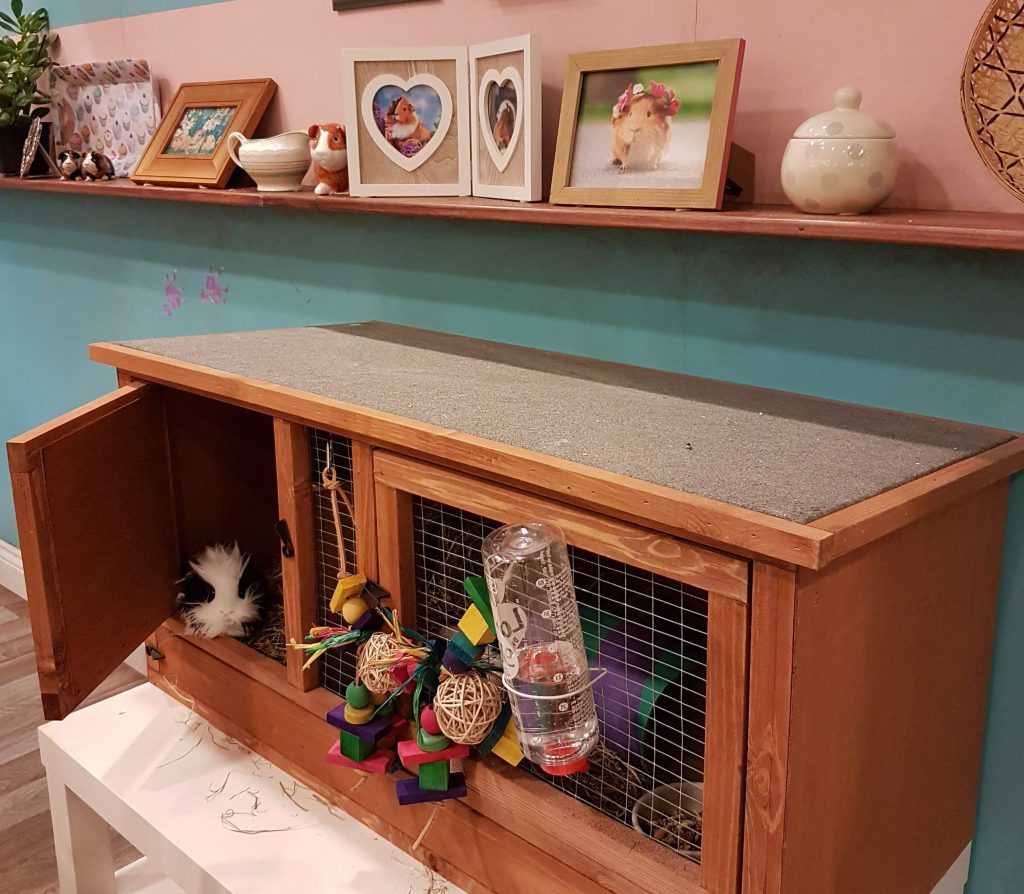 Image showcasing Visit Fleabag’s Guinea Pig Cafe - Voice of London