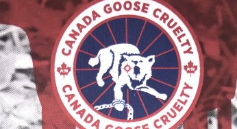 Anti-fur activists protest Canada Goose