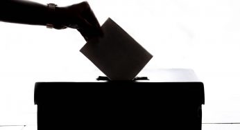 Brexit Party won’t compete against Tory seats