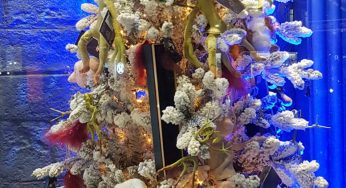From Norway with Love: Trafalgar Square’s Christmas tree