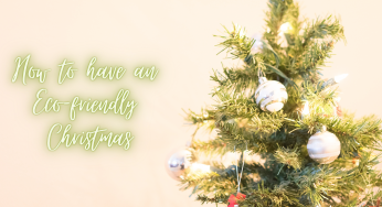 Top tips for an Eco-friendly Christmas