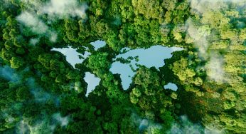 COP26: Draft deal reaction