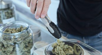 Why are we so scared of weed?- Joe Bidens Pardon