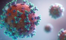 Covid virus