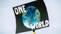 Protest poster with a painted image of earth, overlaid with text that states, "One Earth".