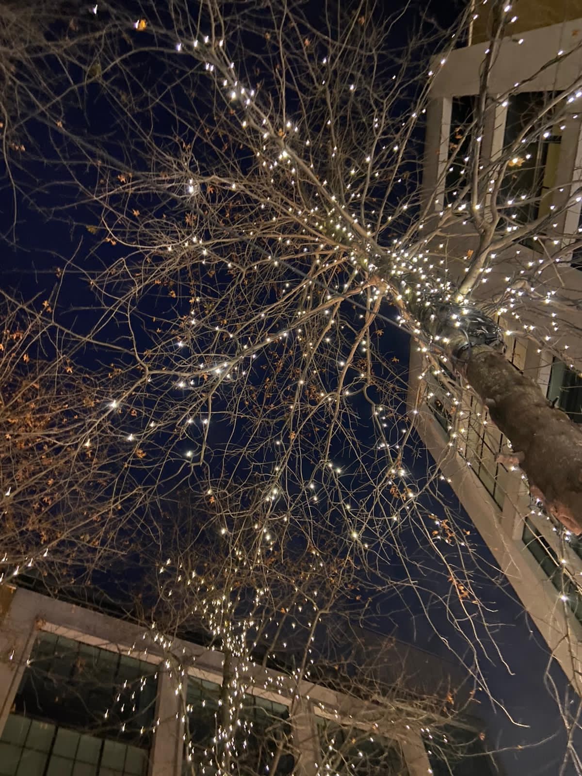 Christmas Light in London