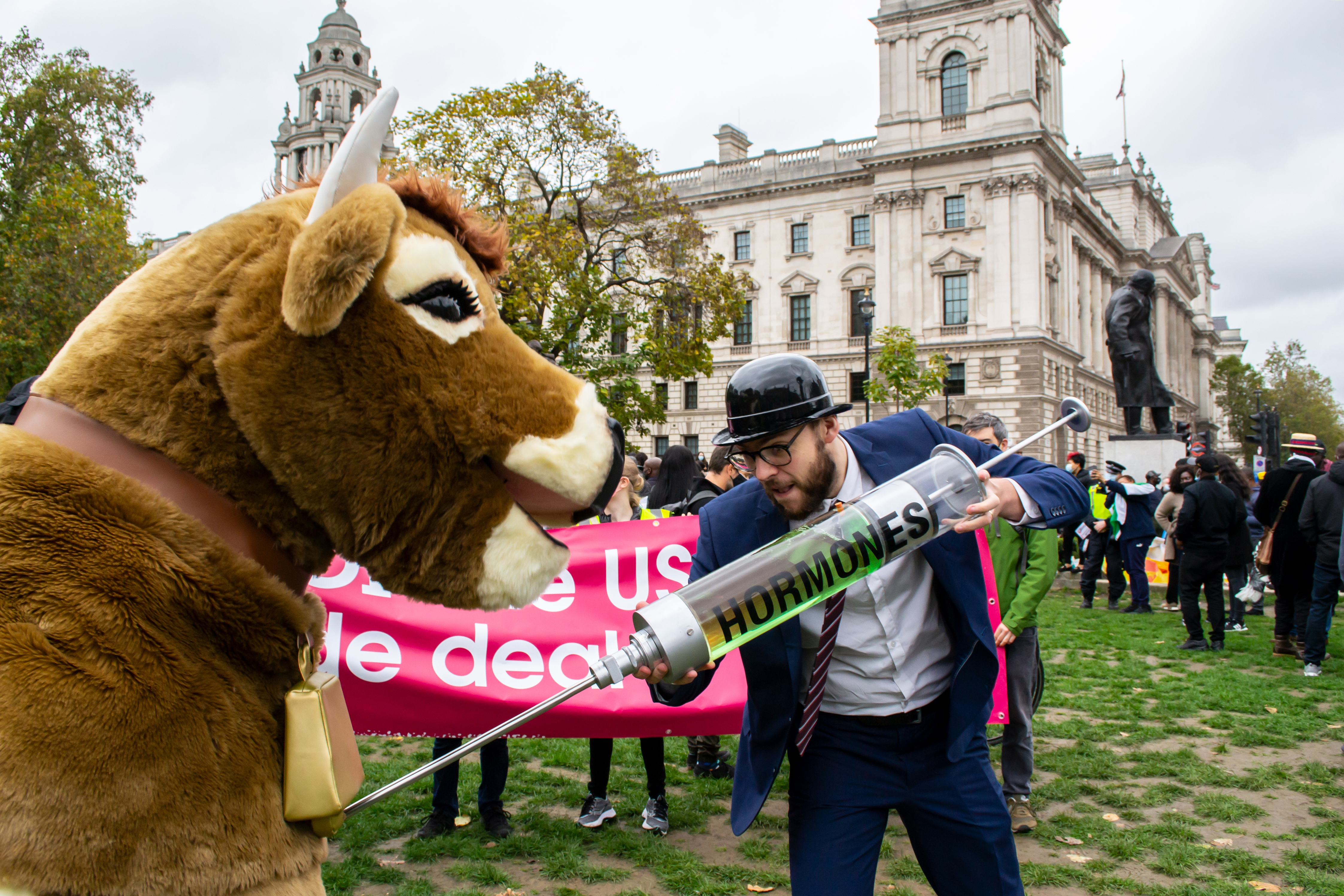 Protester injecting a pantomime cow with hormones at the 'STOP TRUMP, STOP THE TRADE DEAL' protest, against hormone-laced beef among other issues