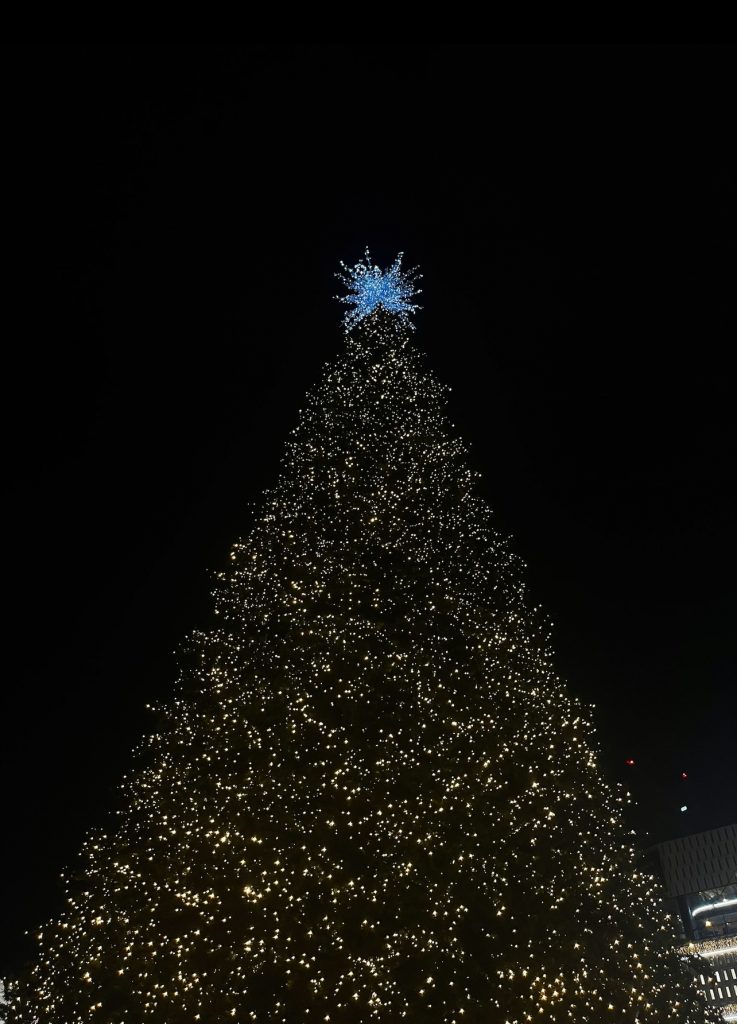 Christmas Tree illuminated at night in a public space - close-up shot