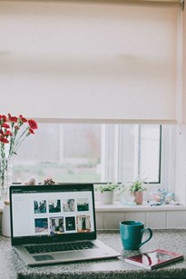 Deskspace looking out to a window with an open laptop displaying images, green coffee mug and book. House plants and flowers on the window sill. Daylight coming in with blinds partially pulled down.