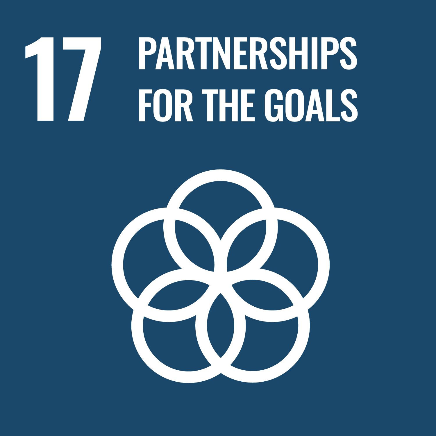 Logo UN SDG 17 "Partnership For the Goals"