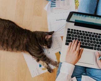 Girl working from laptop on floor with cat lying beside her