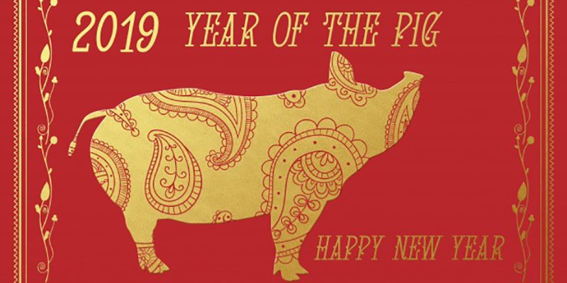 International Student Blogger - Chinese New Year in London - Year of the Pig_800px