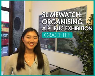 Silmewatch - Organising a Public Exhibition - - International Student Blogger, Grace Lee - title image