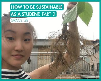 How to be Sustainable as a Student: Part 2_International Student Blogger, Grace Lee_title image