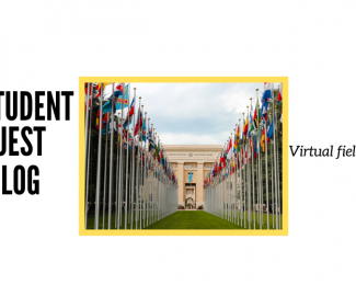 A three-day virtual fieldtrip at the UN