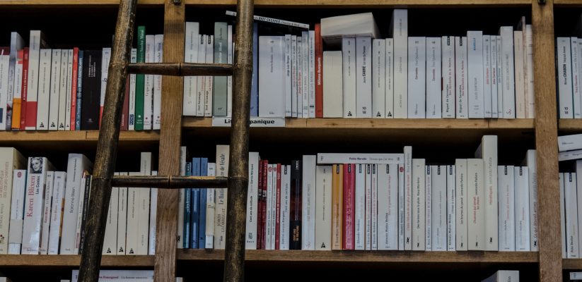 image shows a library book shelf with a ladder in front