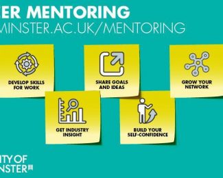 Mentorship: How Graduates Can Benefit from experienced guidance