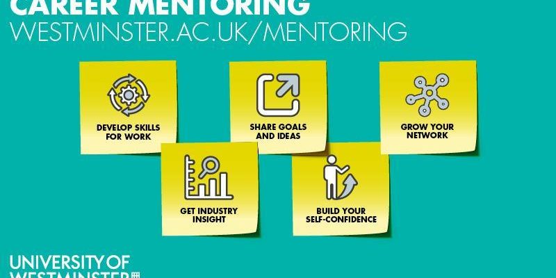 Mentorship: How Graduates Can Benefit from experienced guidance