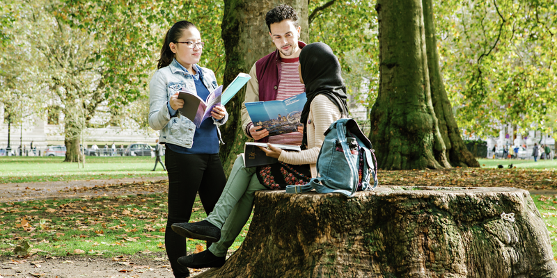 A male and two female students in a park or square, one of them sitting on a tree stump, talking, smiling, holding various prospectuses; trees visible in the background, close-up