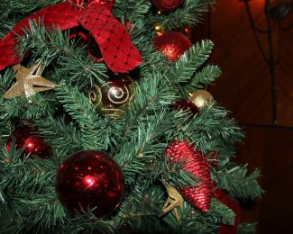 christmas-tree-dinner-close-up